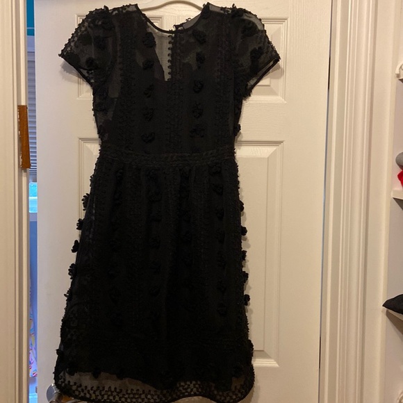 Beautiful anthropology/Sunday in Brooklyn textured party dress - Picture 4 of 10